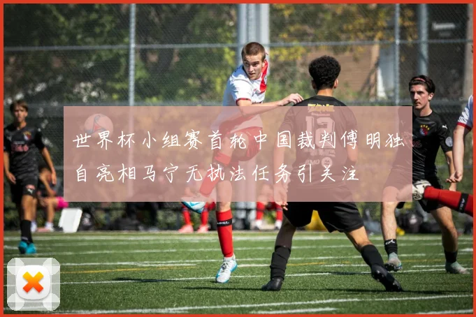 世界杯小组赛首轮中国裁判傅明独自亮相马宁无执法任务引关注