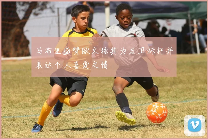 马布里盛赞欧文称其为后卫标杆并表达个人喜爱之情